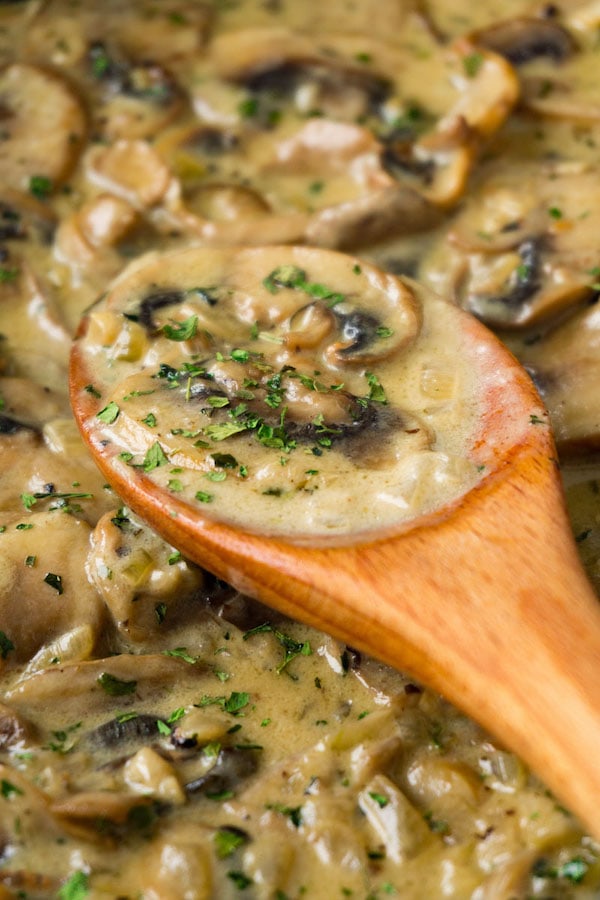 A wooden spoon full of creamy mushroom sauce in a skillet with the sauce.