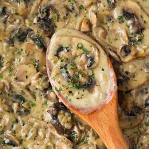 White wine mushroom sauce with cream Here To Cook