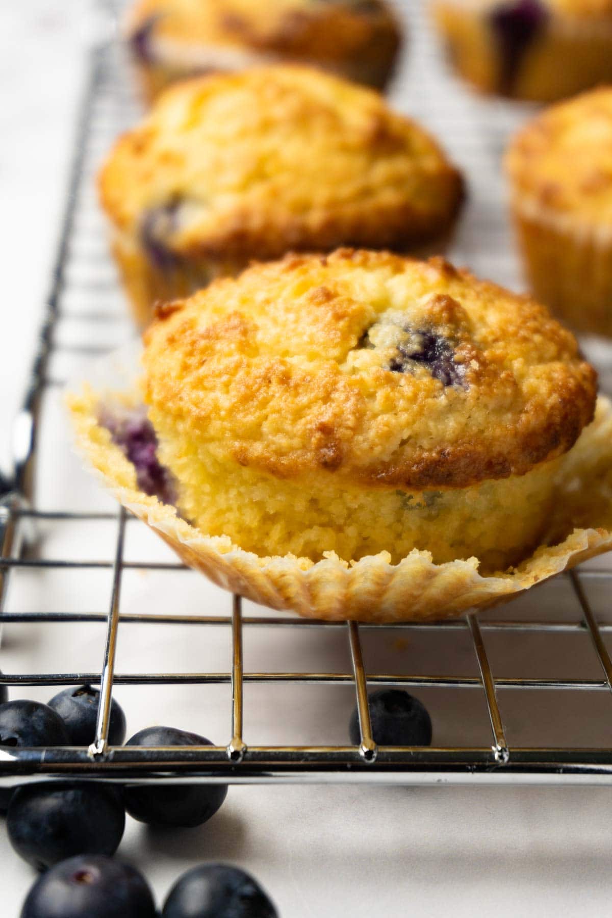 Blueberry muffin on a cooling rack. muffin liner is partially pealed, fresh blueberries are lying around.