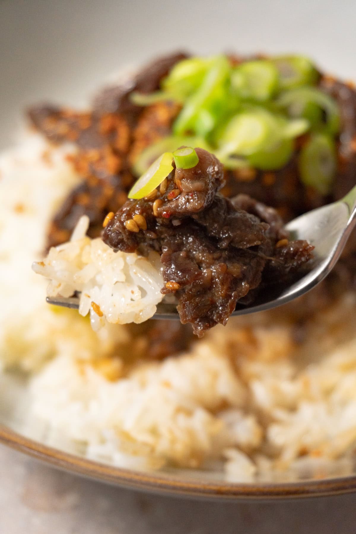A fork with rice and beef topped with sesame seeds and sliced green onions.