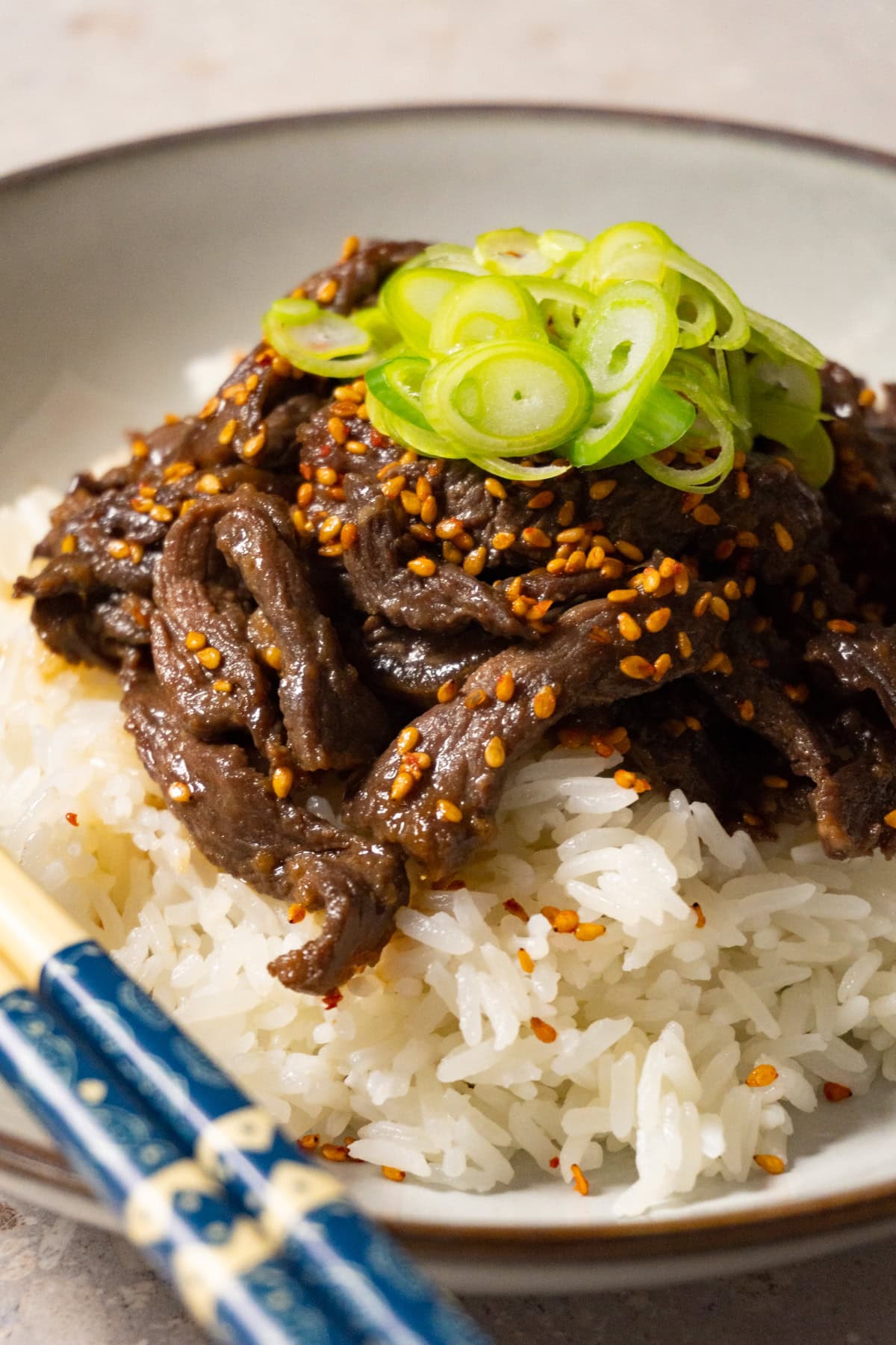 A bowl of rice and beef topped with sesame seeds and sliced green onions.