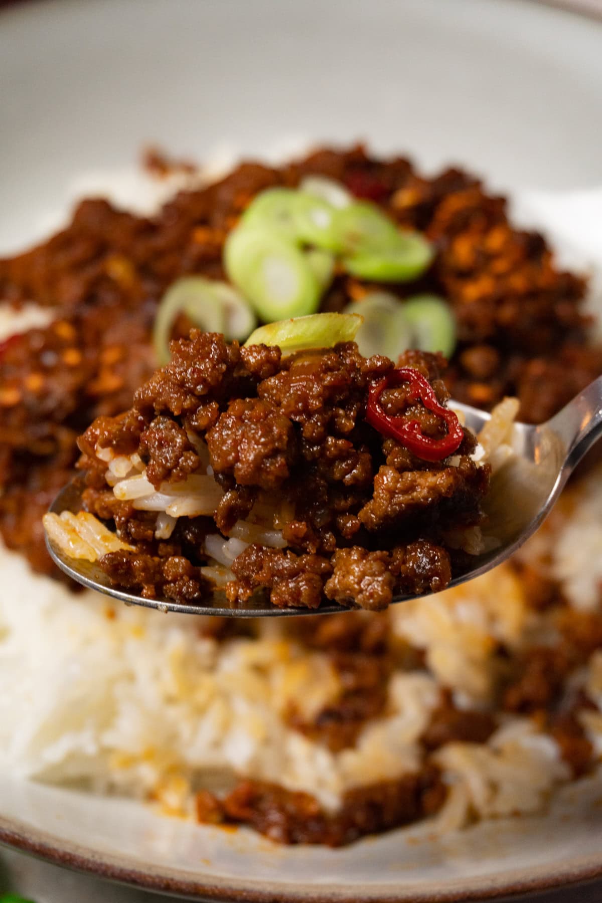 A spoon filled with rice and saucy ground beef, with pieces of red chili peppers mixed into the beef and topped with fresh green onions.